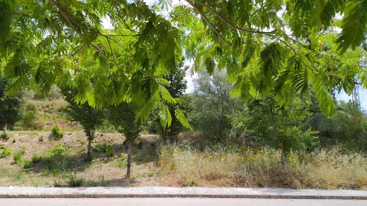 Casa Rural El Cerrete 2 Riópar 외부 사진